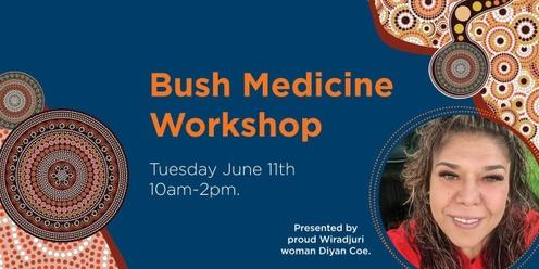 Learn about Bush Medicine - a workshop for women only in the Ryde Community