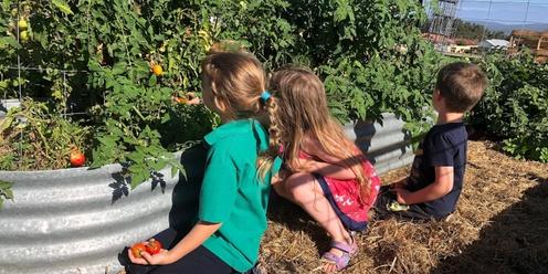 Permaculture for Kids