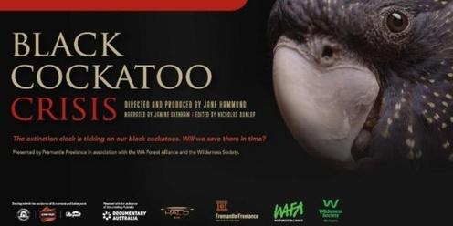 Black Cockatoo Crisis film & Big Carnabys sculpture fundraiser