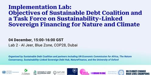 Implementation Lab: Objectives of Sustainable Debt Coalition and Task Force on Sustainability-Linked Sovereign Financing for Nature and Climate