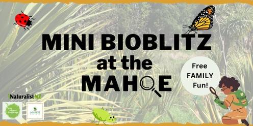 Mini BioBlitz at the Mahoe Reserve