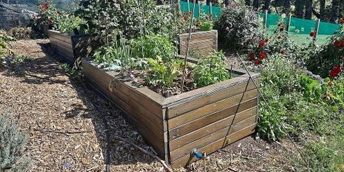 DIY Drought-Tolerant Garden Bed (Wicking Bed) Workshop