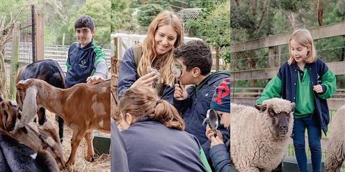 Collingwood Children's Farm School Excursions: for 1 Class