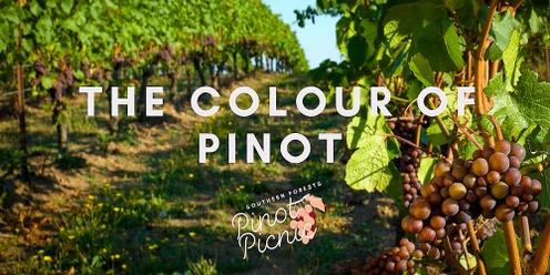 The Colour of Pinot | Pinot Picnic 2023