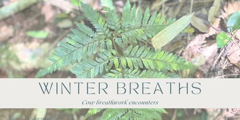 Winter Breaths  - Cosy breathwork encounters 