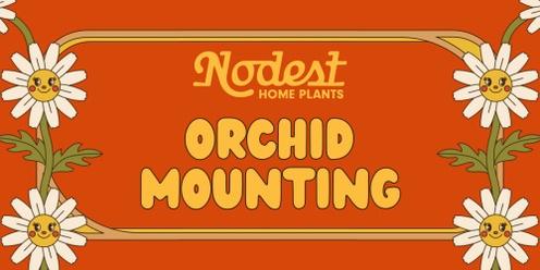 Orchid Mounting