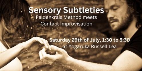 Sensory Subtleties – Feldenkrais Method meets Contact Improvisation