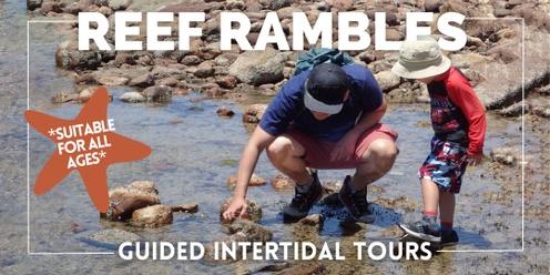 REEF RAMBLES for all ages! Marino Rocks, January 12