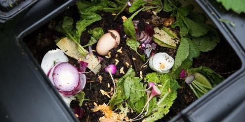 Back to Basics Composting 