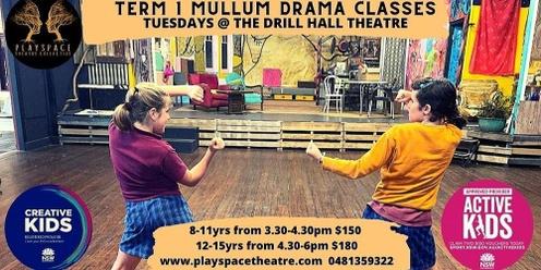 Mullumbimby Drill Hall Drama Tuesdays 8-11yrs Term 1 2023
