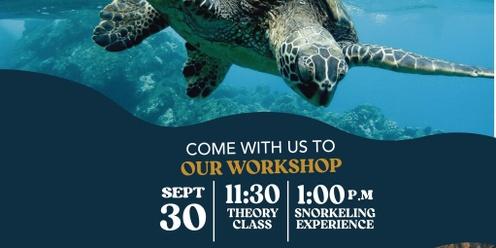 Understanding Sea Turtles - Byron Bay Sea Turtle School