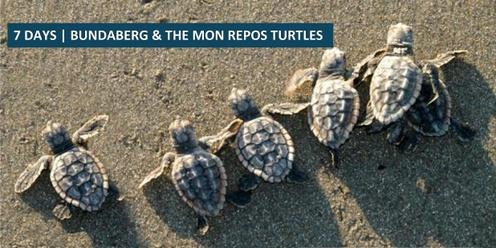 Bundaberg & The Mon Repos Turtles Tour