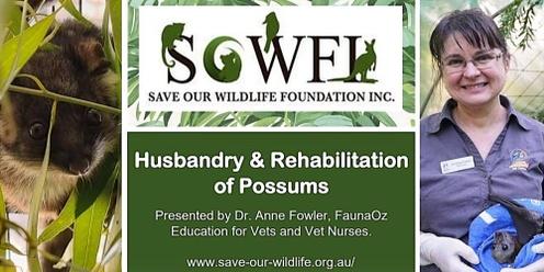 Husbandry & Rehabilitation of Possums presented by Dr. Anne Fowler