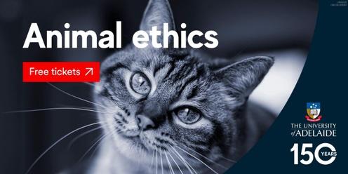 Research Tuesdays - Animal ethics