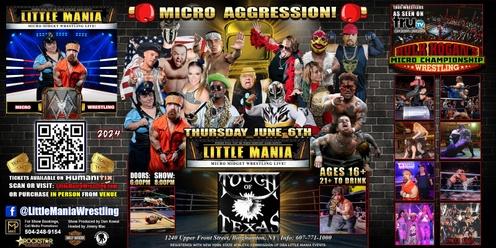 Binghamton, NY -- Little Mania Events Presents: Micro Agression!