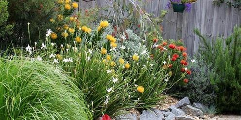 Water Wise Gardening and Biodiversity in Your Yard or Verge