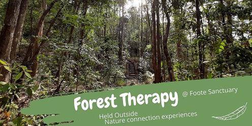 Forest Therapy at Foote Sanctuary 22 Jul 23