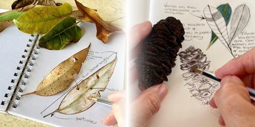 Introduction to Nature Journaling Workshop