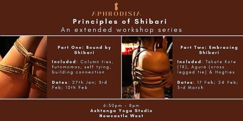 Principles of Shibari - An Extended Workshop Series