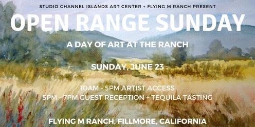 Open Range Sunday: A Day of Art at Flying M Ranch 