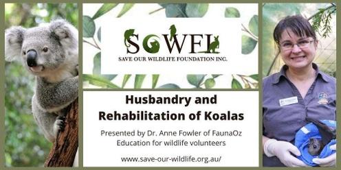 Husbandry and Rehabilitation of Koalas presented by Dr. Anne Fowler