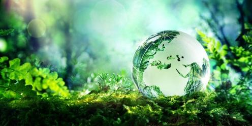 Translating Sustainability into Strengthening a Company and Its Future	
