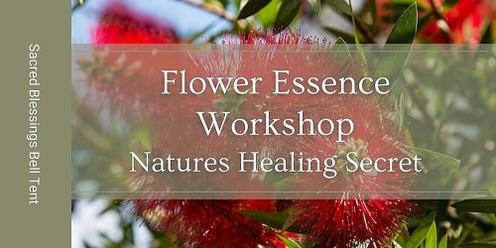Natures Healing Secret - Flower Essence Workshops - 7th May - Sacred Blessings Bell Tent, Pinery. SA