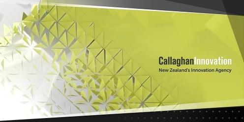 Wellington, June 28 | Customer Insights for Product-Market Fit Workshop 