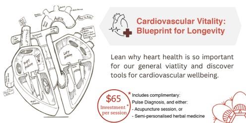 Cardiovascular Vitality: Blueprint to Longevity