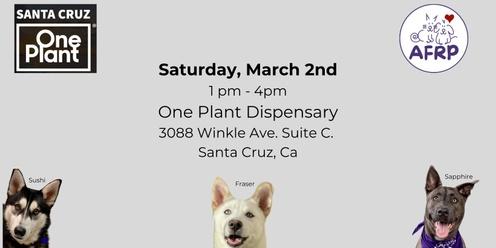 One Plant Dispensary Event