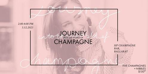 Journey into the World of Champagne