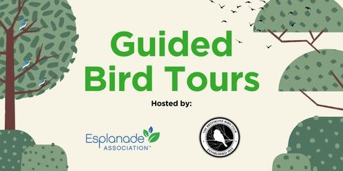 Guided Bird Tours on the Esplanade
