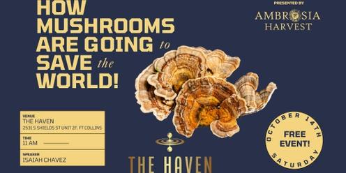 How Mushrooms Are Going to Save the World!