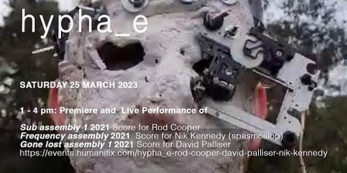 hypha_e - performances 25th March by Rod Cooper, David Palliser, Nik Kennedy
