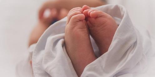 The Birth of a Family - Postpartum Preparation Workshop