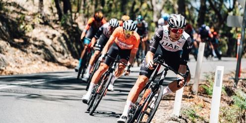 Leveraging Events - Turbocharge your business for the Santos Tour Down Under