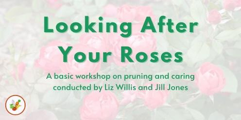 Looking After Your Roses 2024