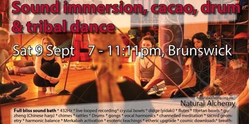 Sound immersion, cacao, drum, & tribal dance _Brunswick