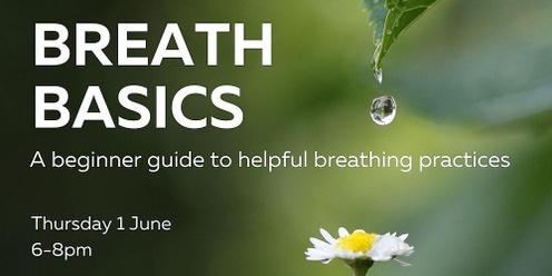 BREATH BASICS: A beginner guide to helpful breathing practices