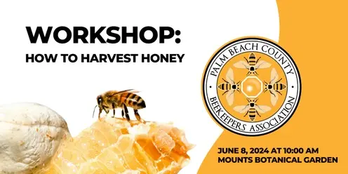 WORKSHOP:  How To Harvest Honey