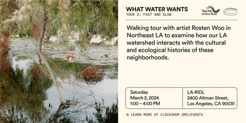 What Water Wants: Tour 2 - Fast and Slow