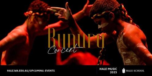 Bunuru Music Concert