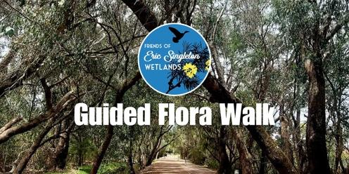 A guided flora walk of Eric Singleton Wetlands