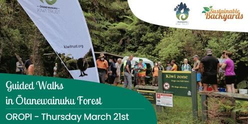 Guided Walks in Otanewainuku Forest