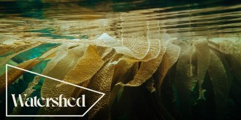 Conversation Series: Secret Life of Seaweed