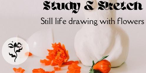 Study & Sketch
