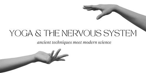 Yoga & the Nervous System