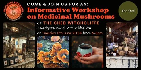 Medicinal Mushrooms Workshop Witchcliffe