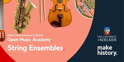 Open Music Academy - String Ensembles - Term 2