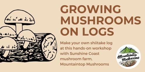 Growing Mushrooms on Logs